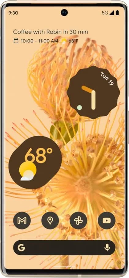 Pixel 6 Pro - View 2